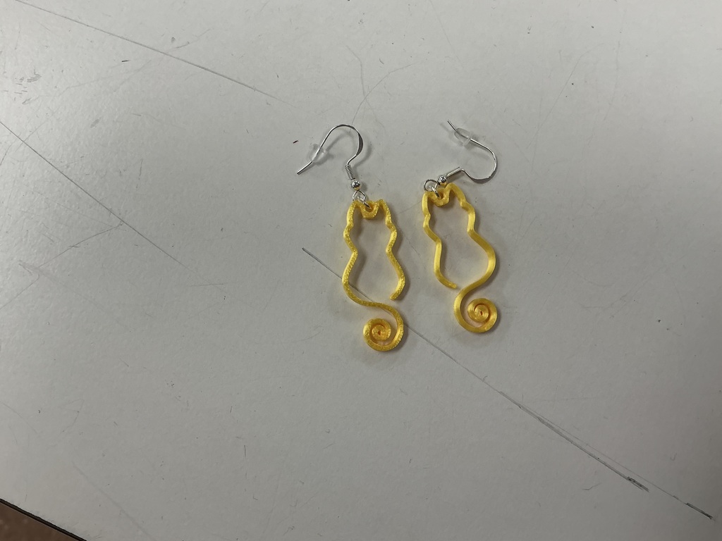 AET Speranza Fundraiser