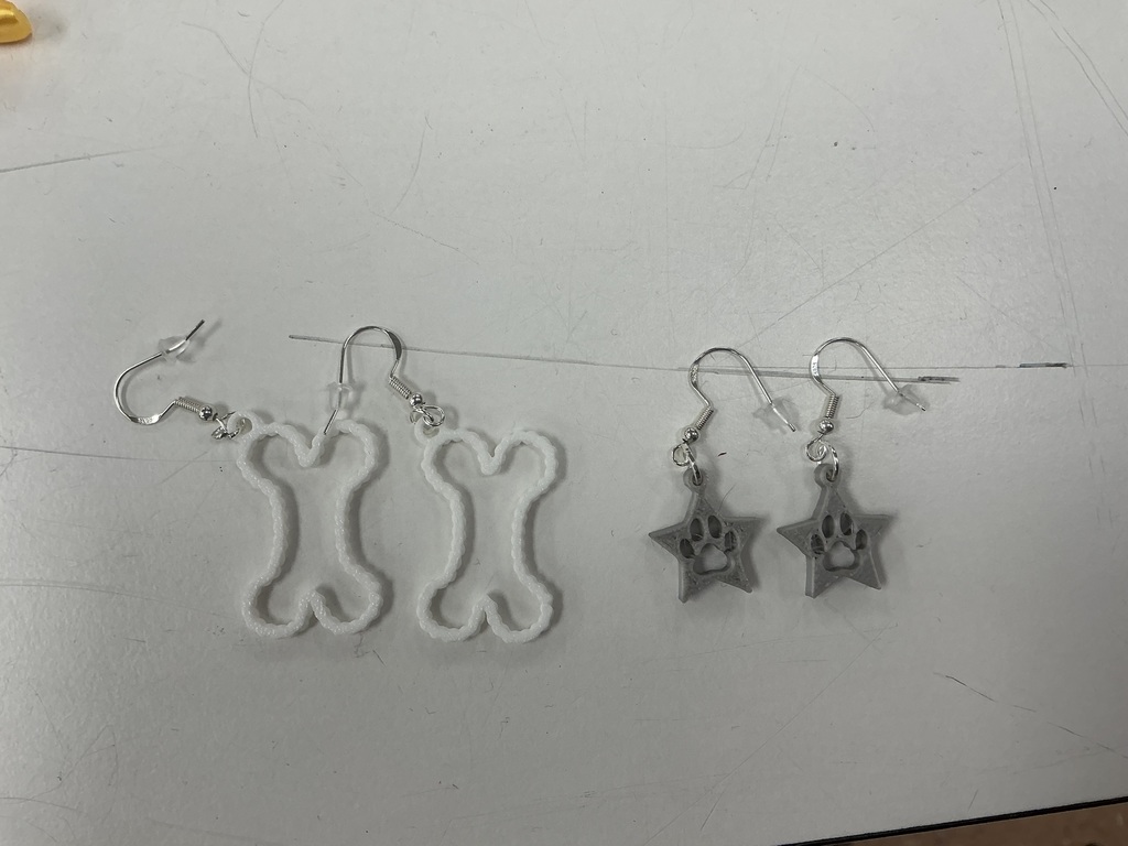 AET Speranza Fundraiser