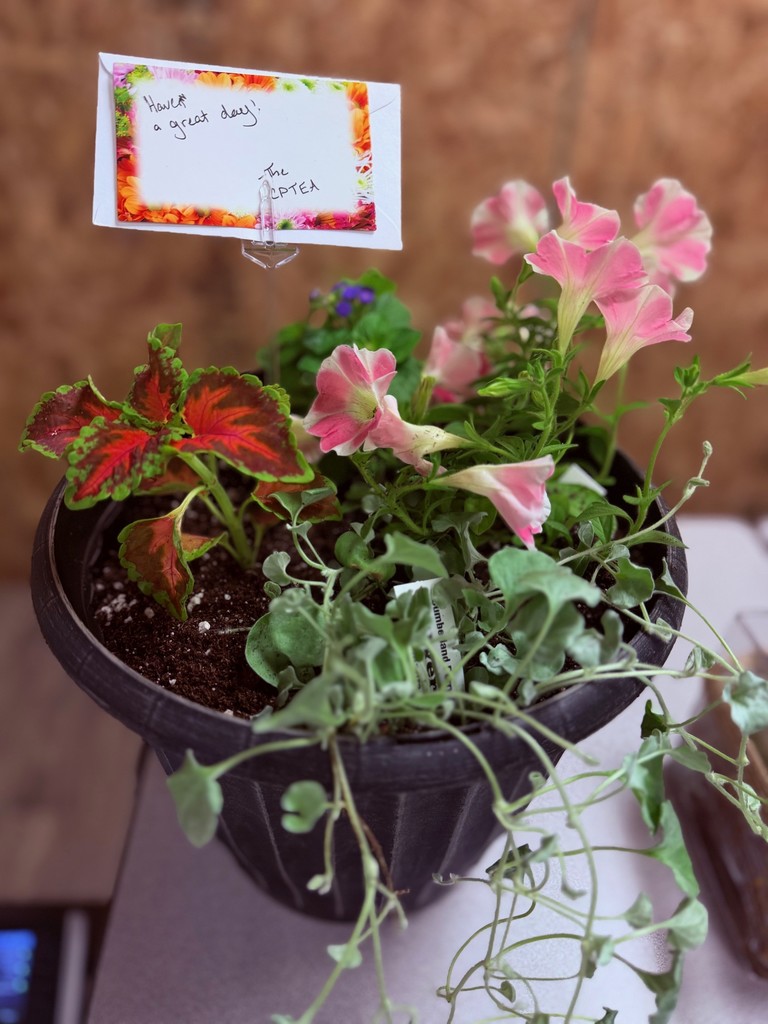 admin prof cptea giftr