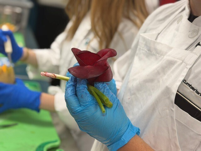 edible arrangements in culinary