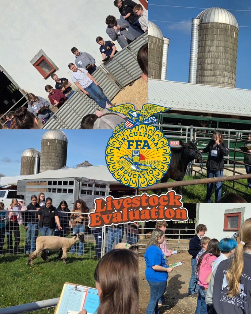 Livestock Evaluation