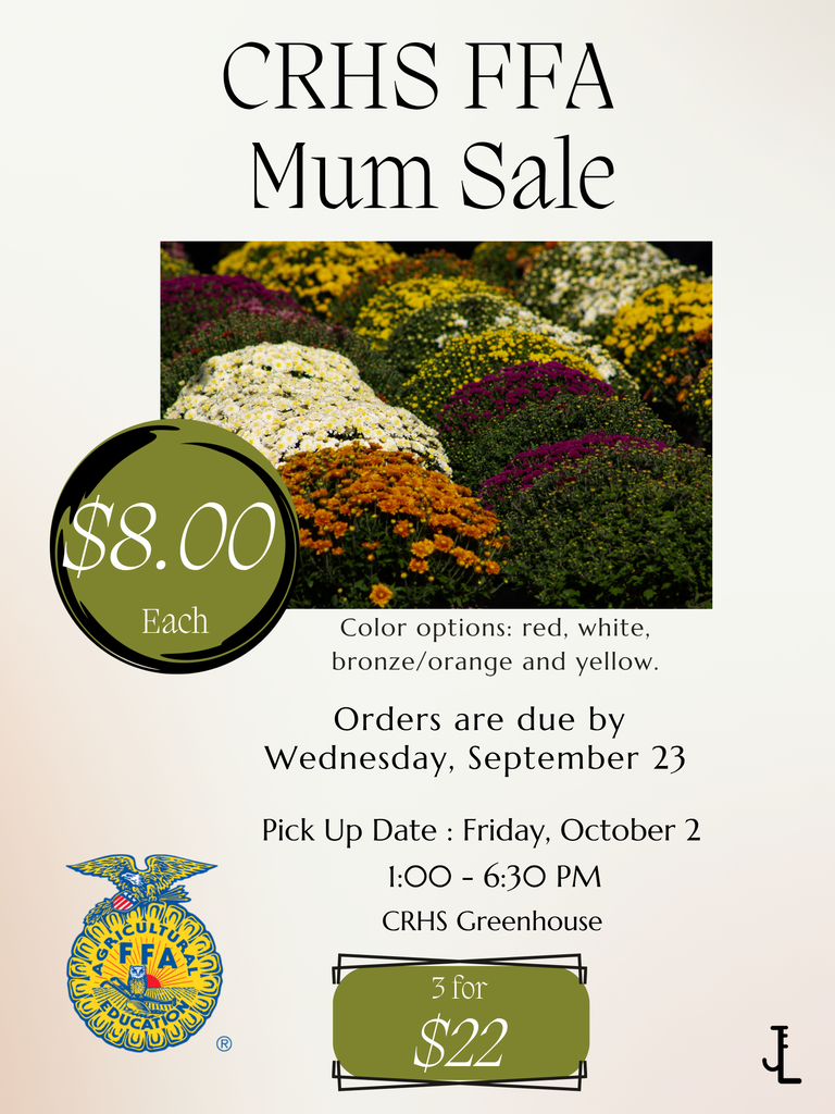 Mum sale advertisement 2026
