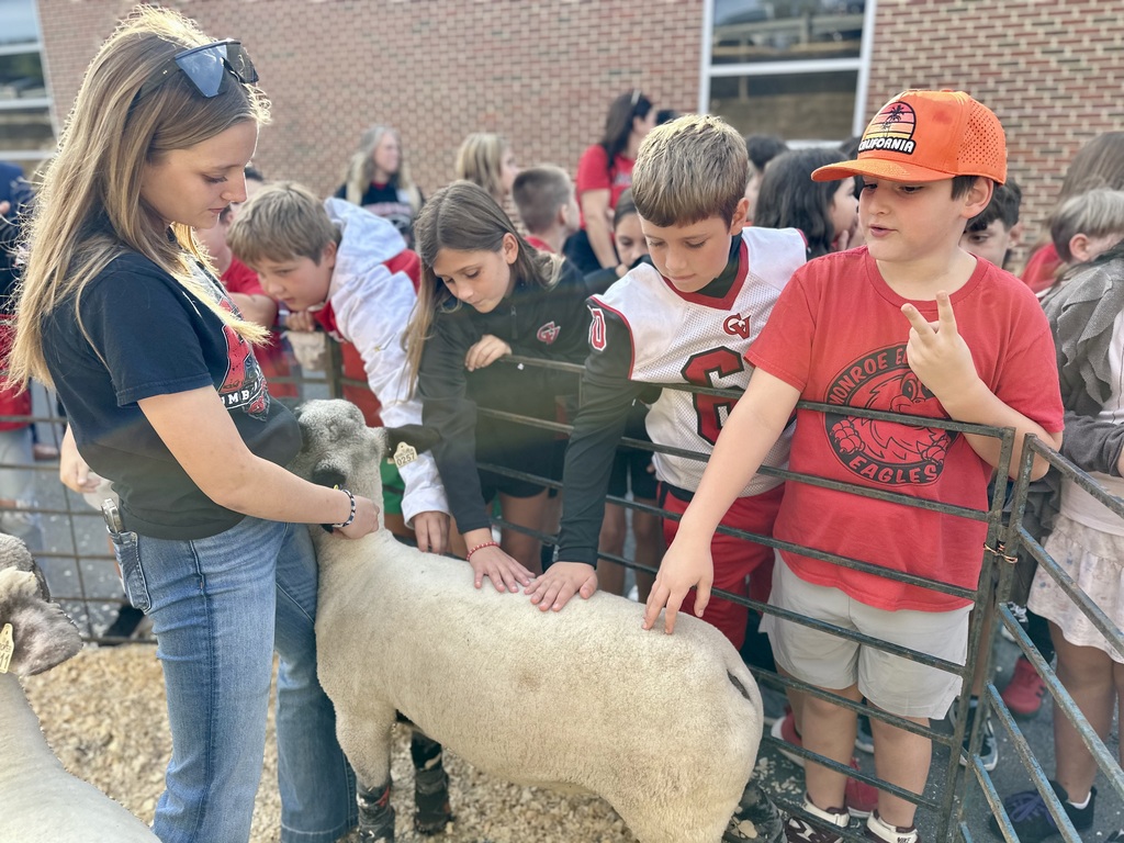 Children gather around a pen outdoors, petting a sheep behind a metal fence.