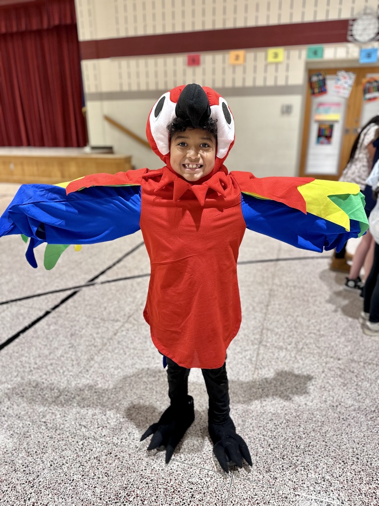 A student in a colorful parrot costume stands with wings outstretched in a school gymnasium near a stage with red curtains.