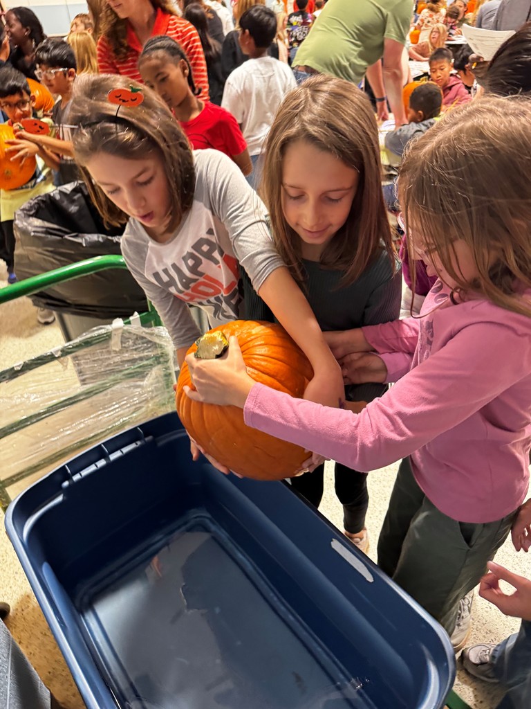 Three Hampden Elementary 4th graders work together to lower a large orange pumpkin into a blue plastic bin filled with water during a pumpkin science activity. Other students and adults are visible in the background, holding pumpkins and participating in similar experiments.