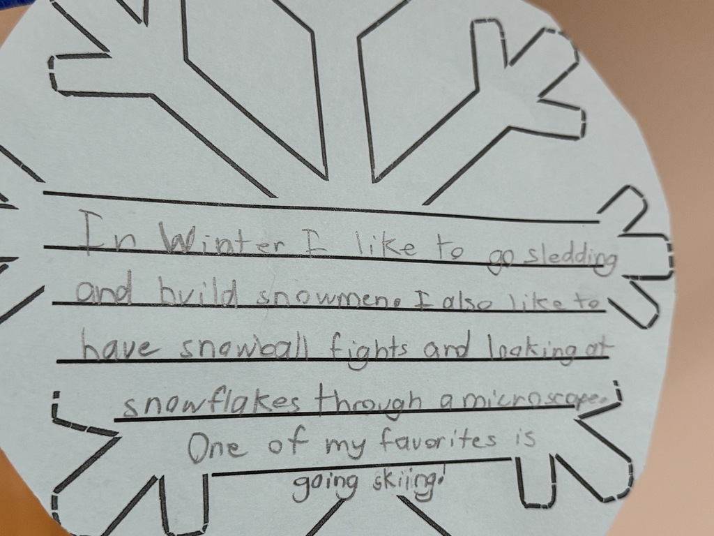 Snowflake that describes liking to go sledding and build snowmen