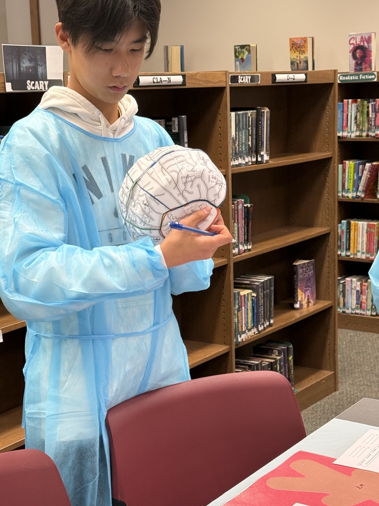 Amplify Brain Science