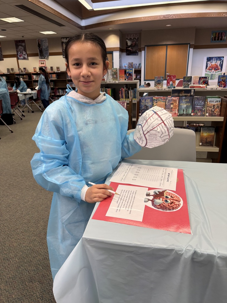 Amplify Brain Science