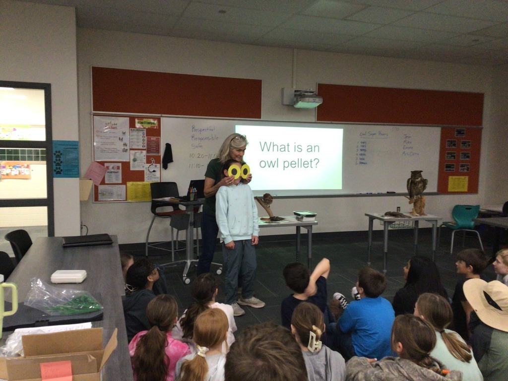 Students observe and learn about bees during Middlesex Elementary’s 5th Grade Environmental Ed Day.