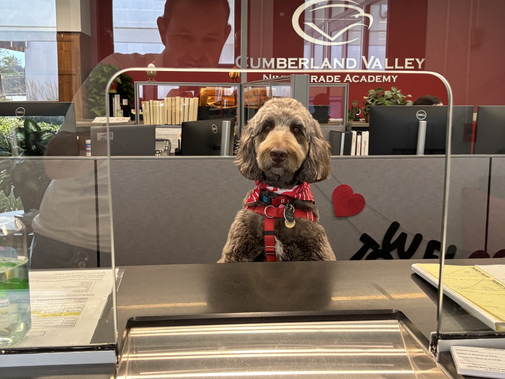 Picture of CV9 Facility Dog, Dandy, at the front office window.