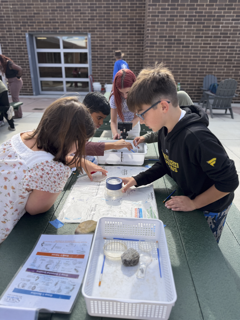 CV fifth-grade students engage in an outdoor activity that involves inspecting fresh water insects.