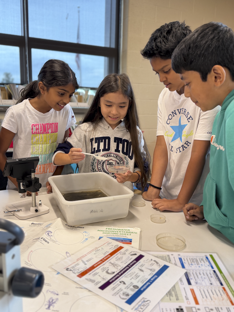 CV Fifth-grade students examine freshwater organisms during a hands-on activity with Stroud Water Research.