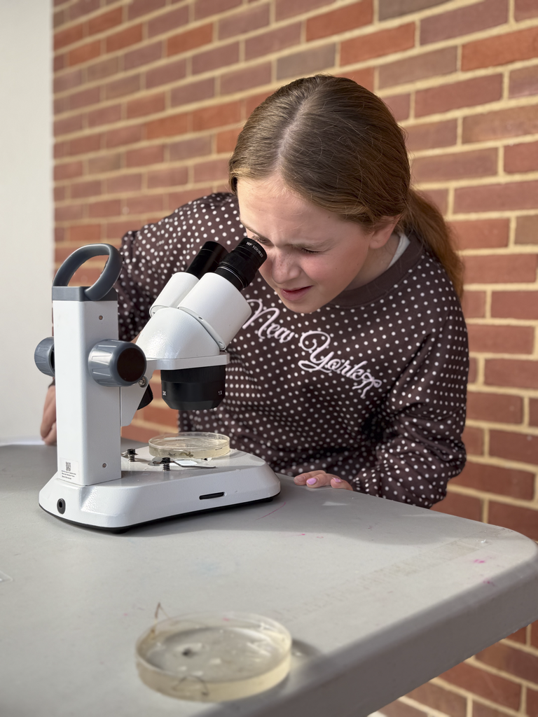 A CV fifth-grade student uses a microscope to closely examine freshwater organisms during a Stroud Water Research activity.