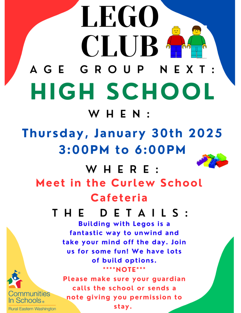 Lego Club Flyer