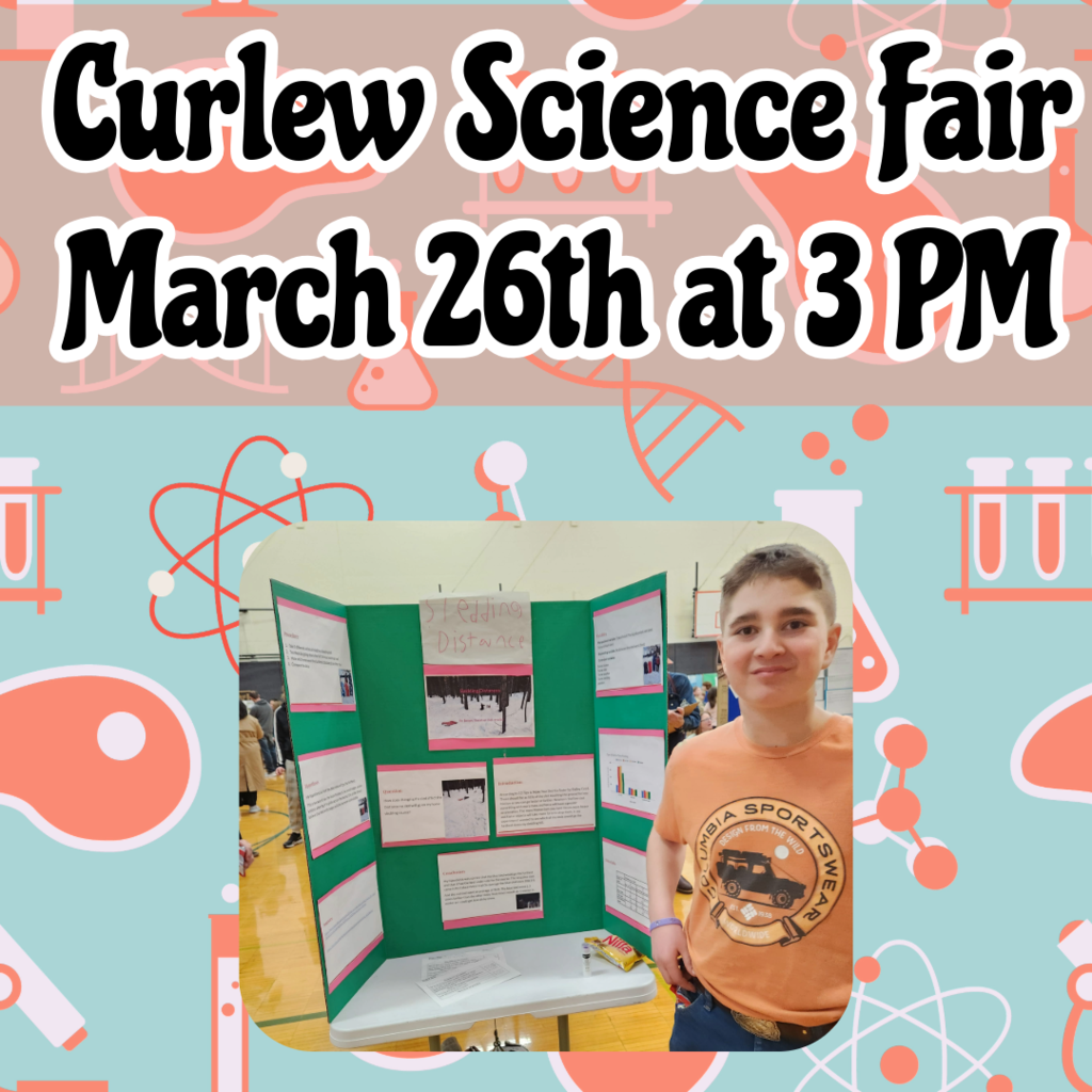 Science Fair