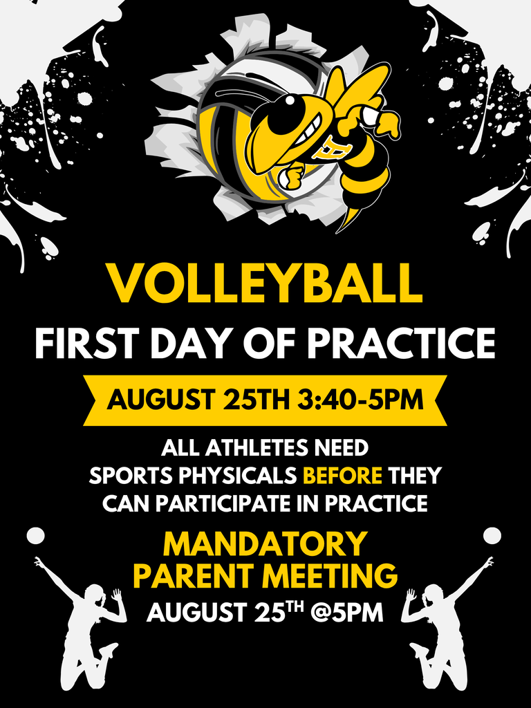 Hermosa Volleyball Poster Information