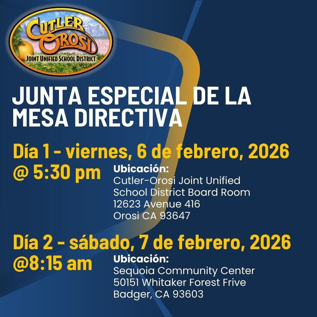 Board Meeting Flyer - Spanish
