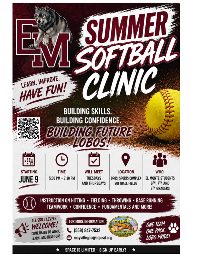 Summer Softball Clinic