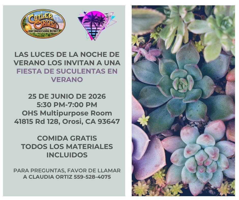 Noche de Verano Familiar Hoy a las 5:30PM 