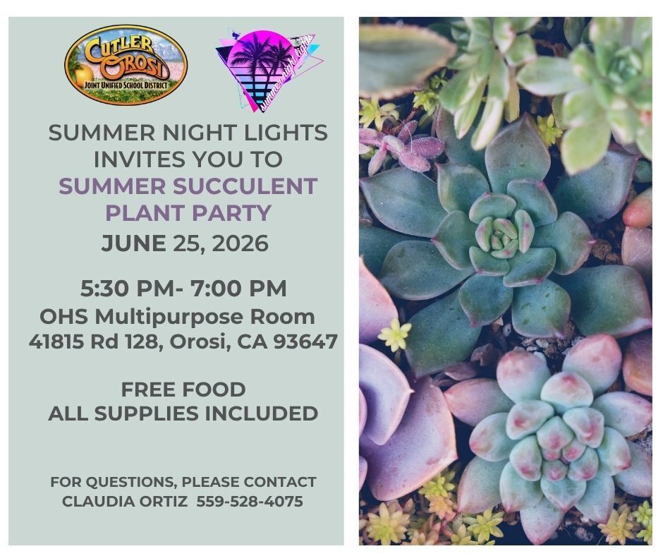 Summer Night Lights Tonight @5:30PM 