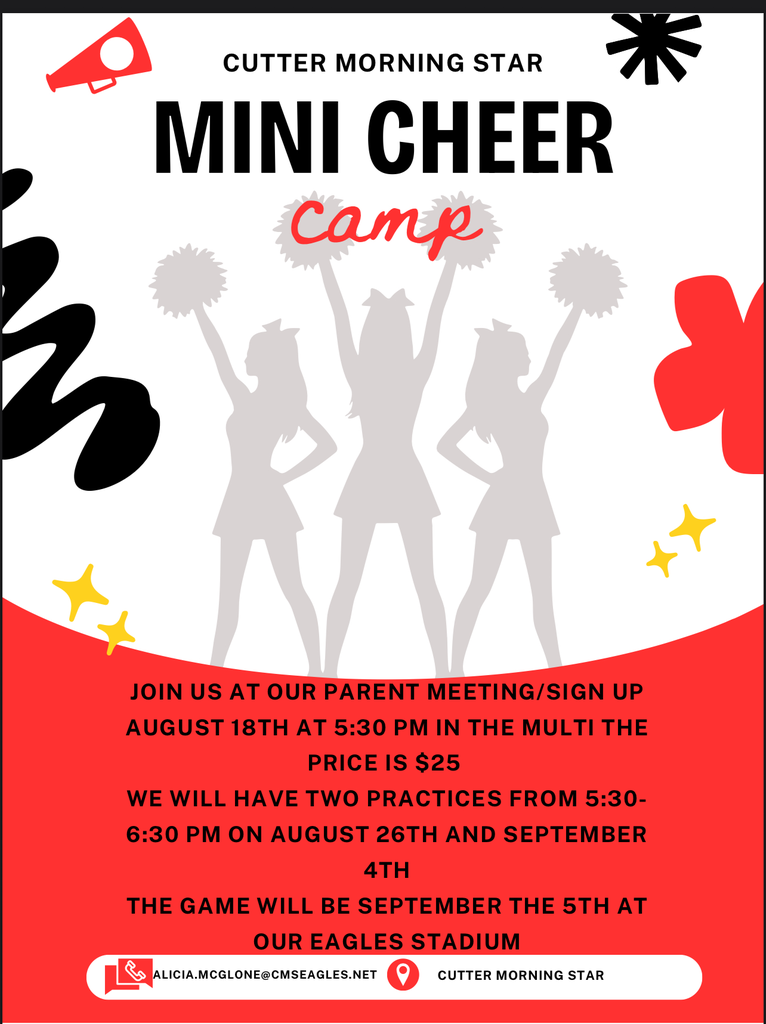 Mini cheer camp flyer