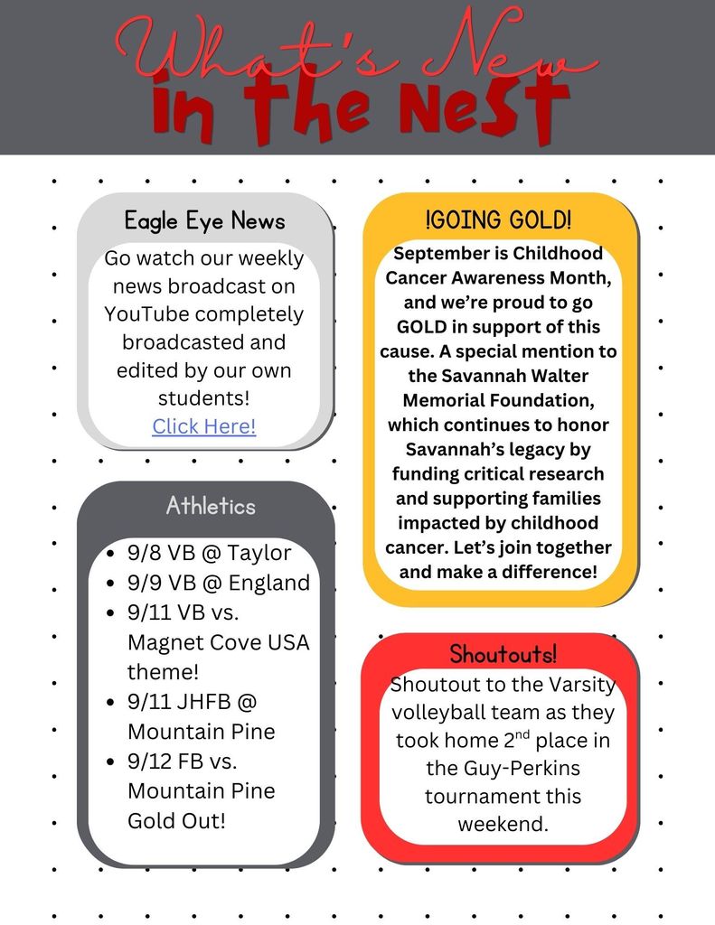 What's New in the Nest Blog