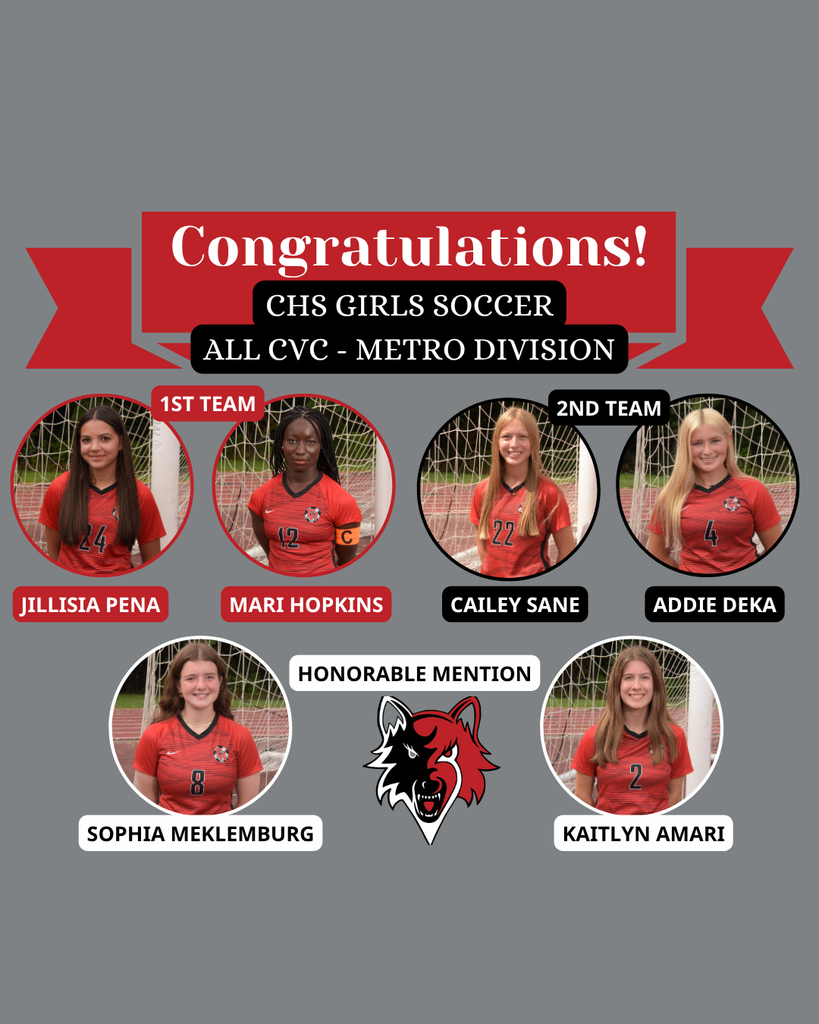 All CVC Girls Soccer