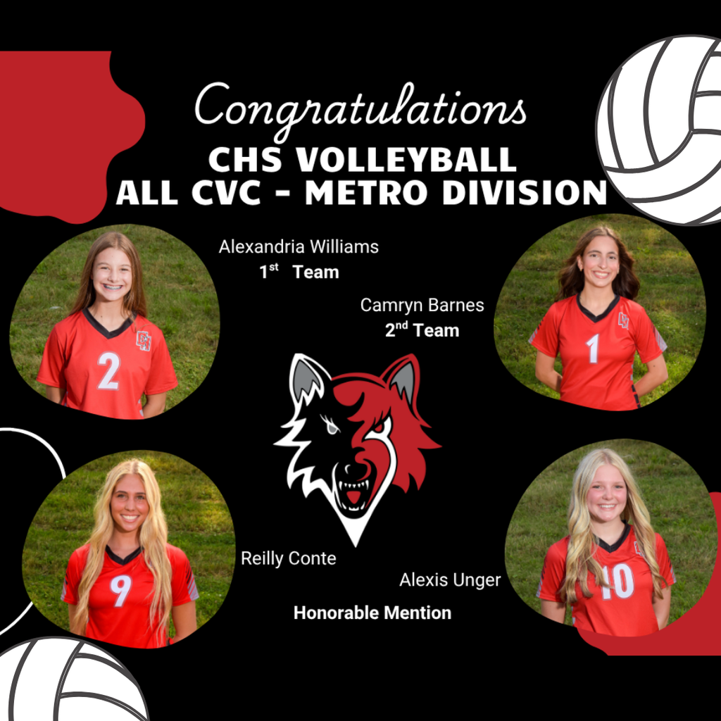 Congratulations to our CHS volleyball players recognized in the CVC Metro Division!