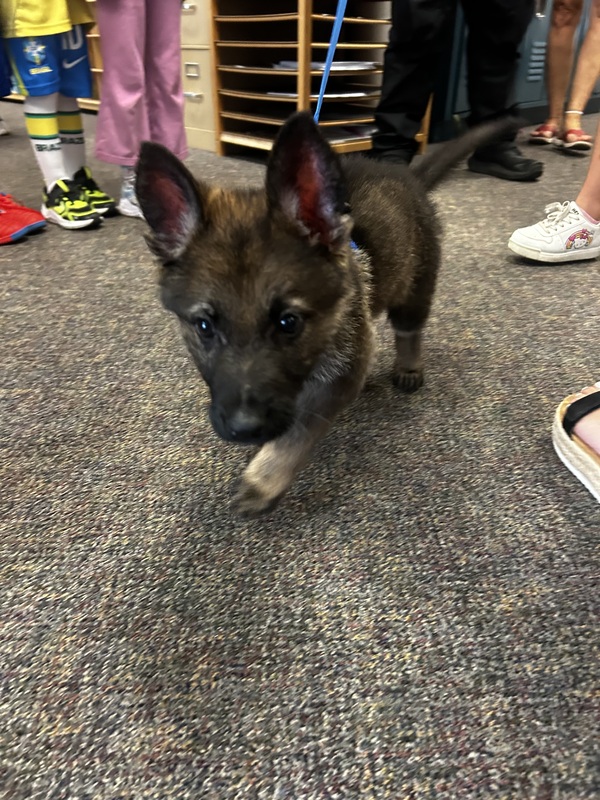 K-9 Jake Makes Special Visit to Cuyahoga Heights Elementary School