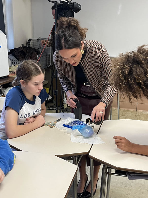 Student watches how ice reacts to an agent.