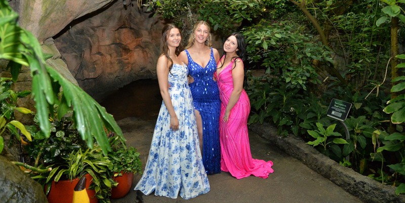 Girls pose in garden.