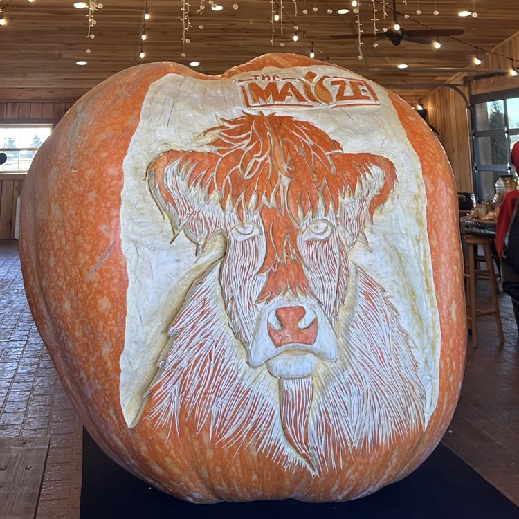 cow carved into a pumpkin