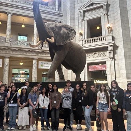 cypress group at the Smithsonian