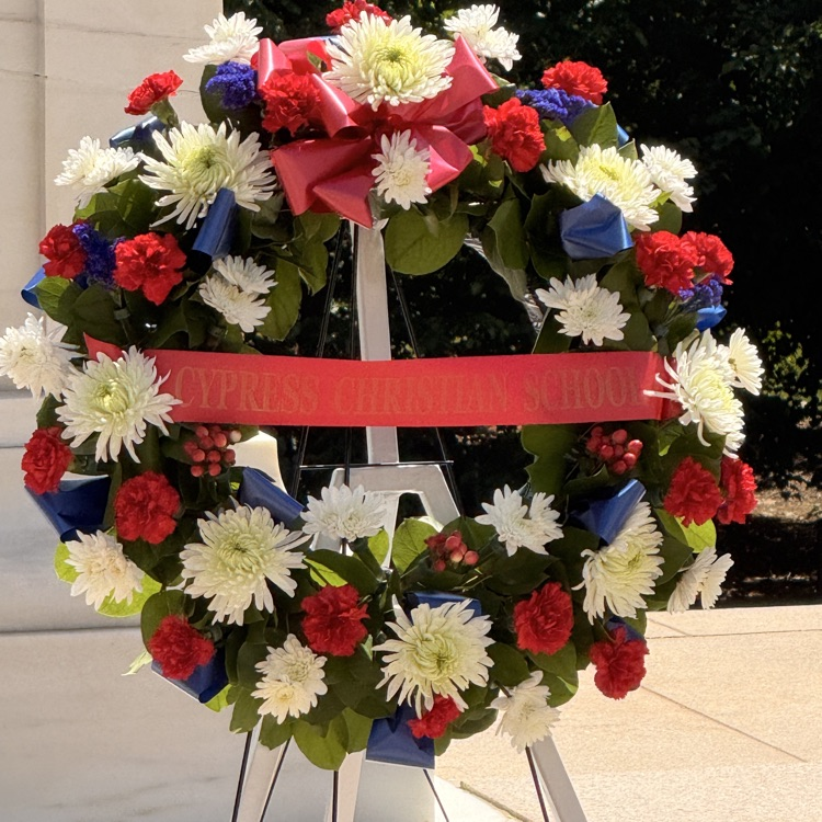 Cypress group at Arlington National Cemetery