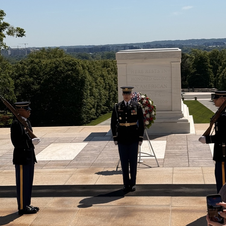 Cypress group at Arlington National Cemetery