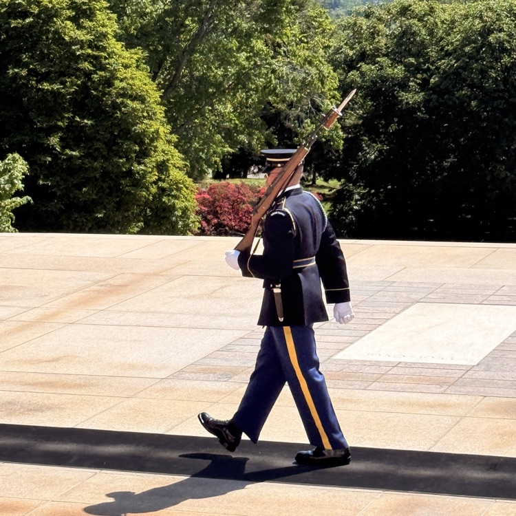 Cypress group at Arlington National Cemetery