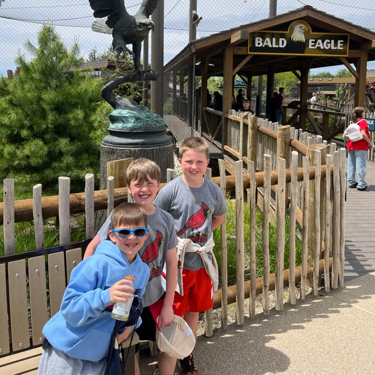 students in front of the bald eagle exhibit