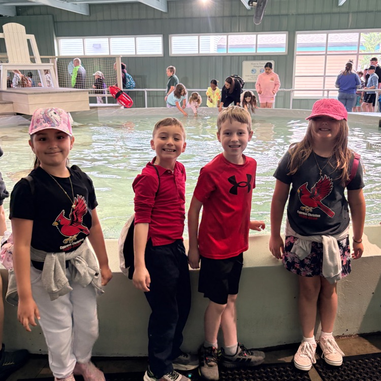 Second grade students standing in front of the stingray exhibit