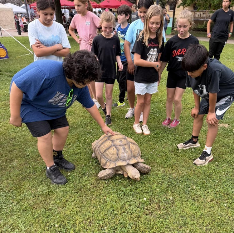 Is that a turtle?