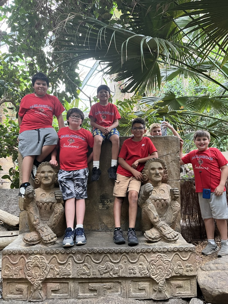 zoo