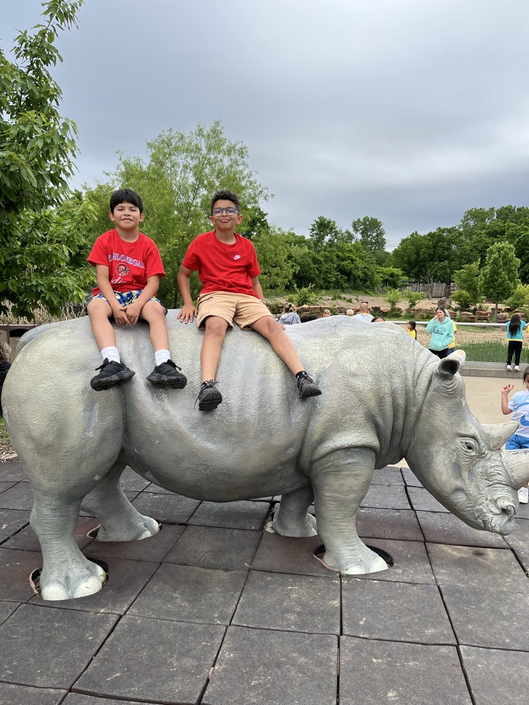 zoo