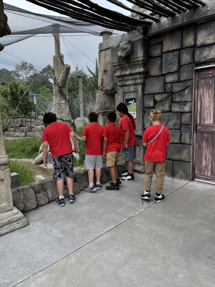 zoo