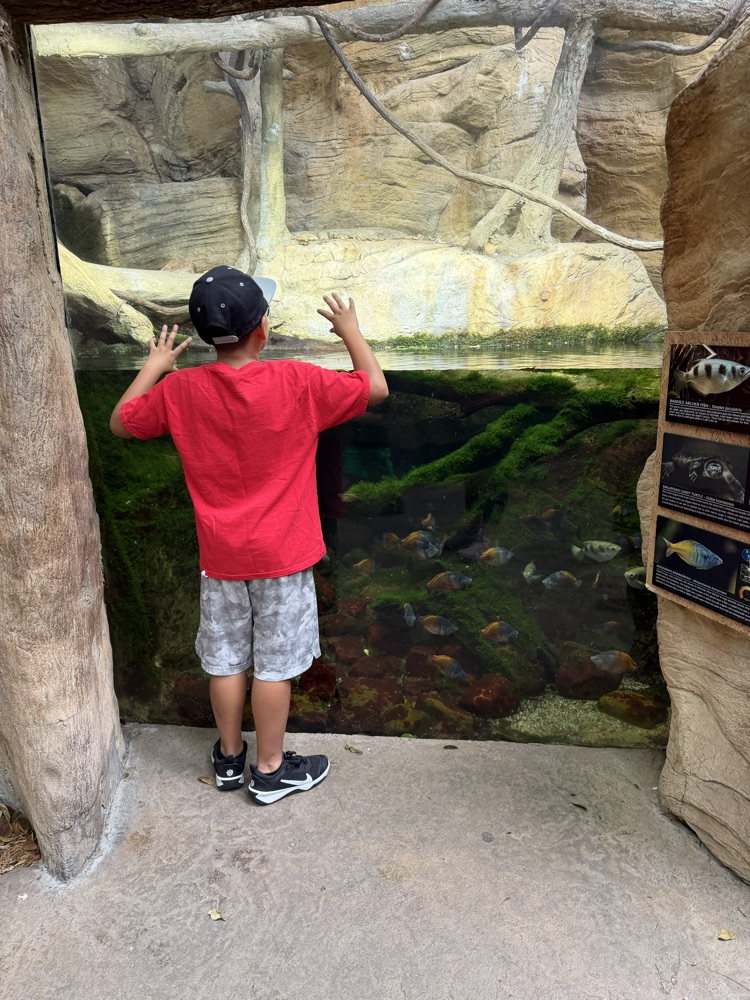 zoo pics 