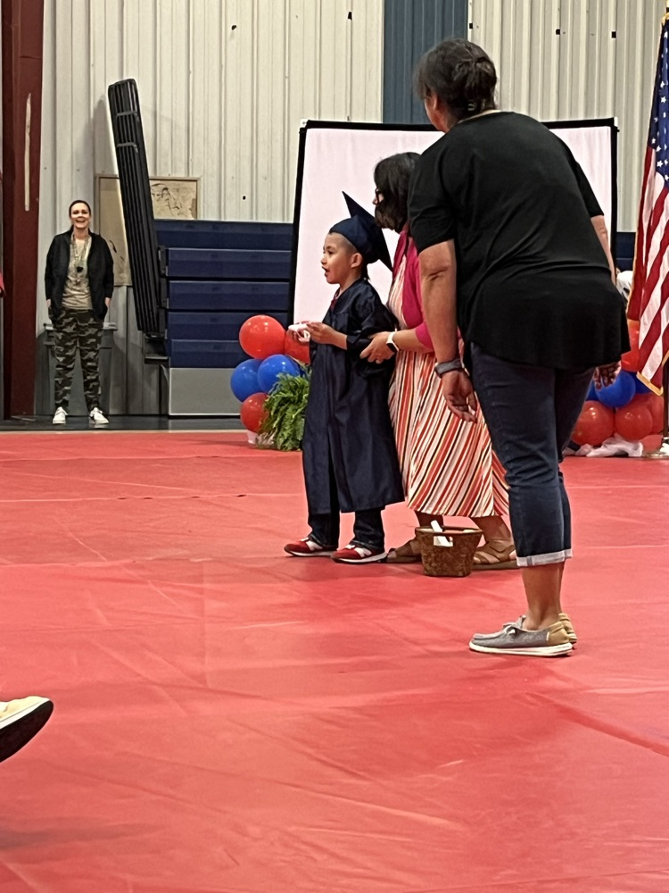 kindergrad#