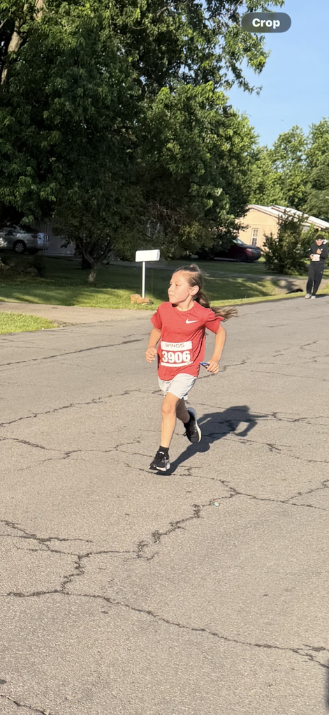 Run for the Berries!🍓