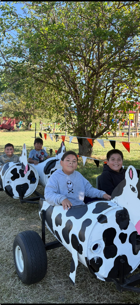 pumpkin patch