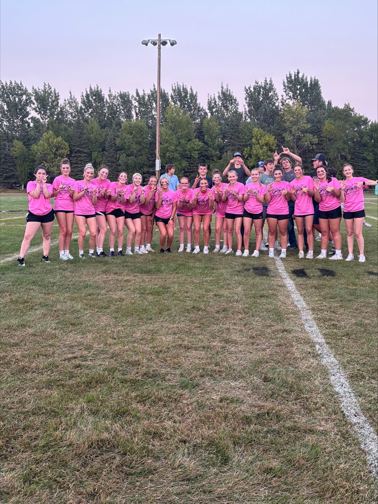 Powder puff 3
