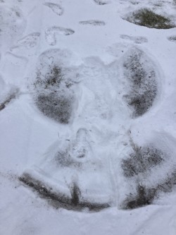 snow angel