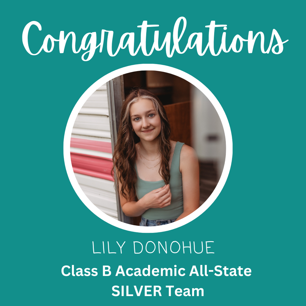 lily all state