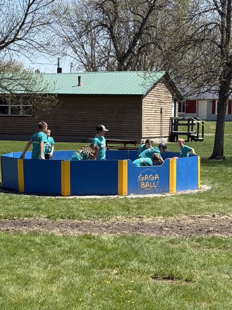 Gaga ball